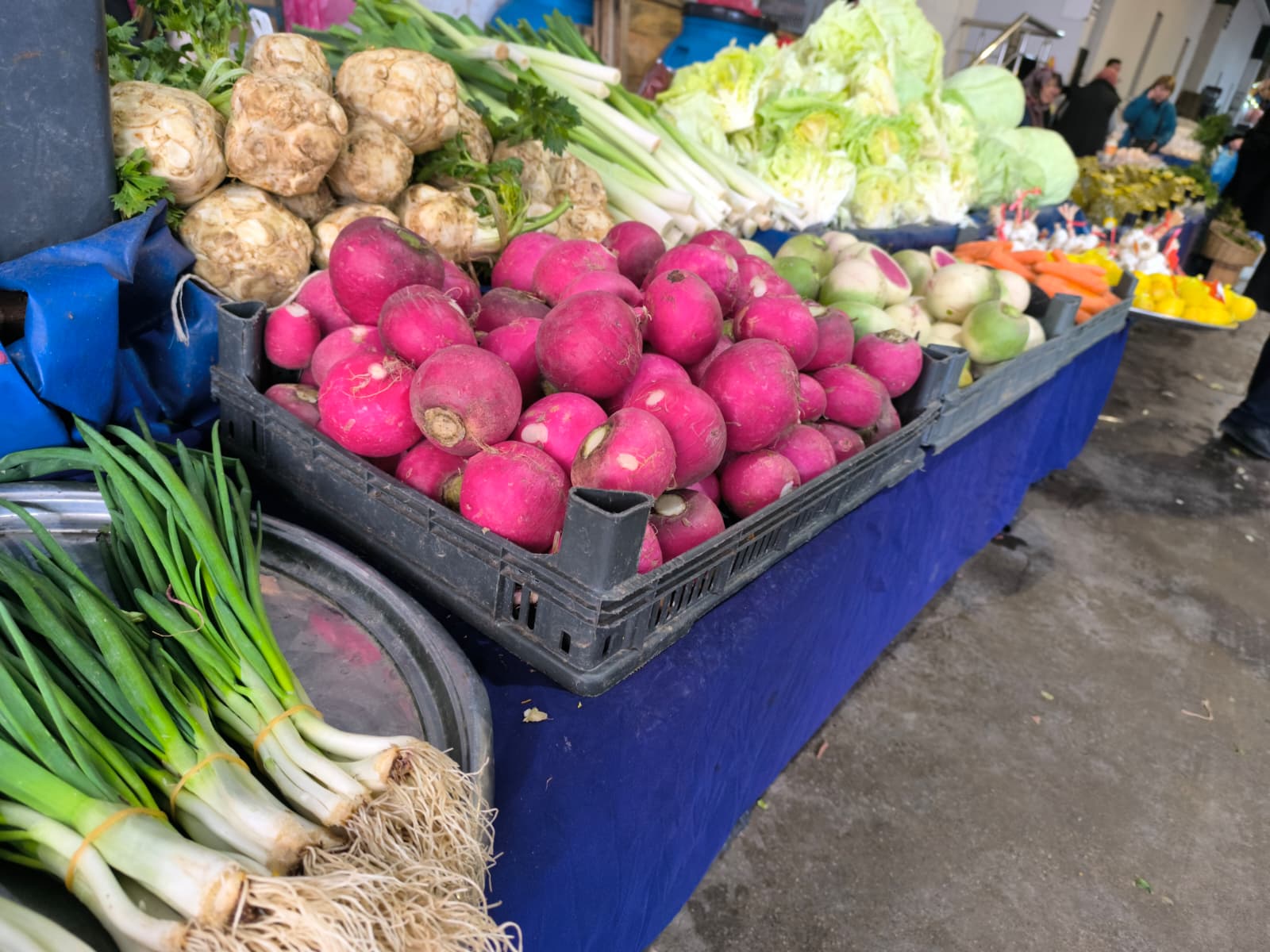 Whatsapp Image 2026 02 05 At 10.50.31