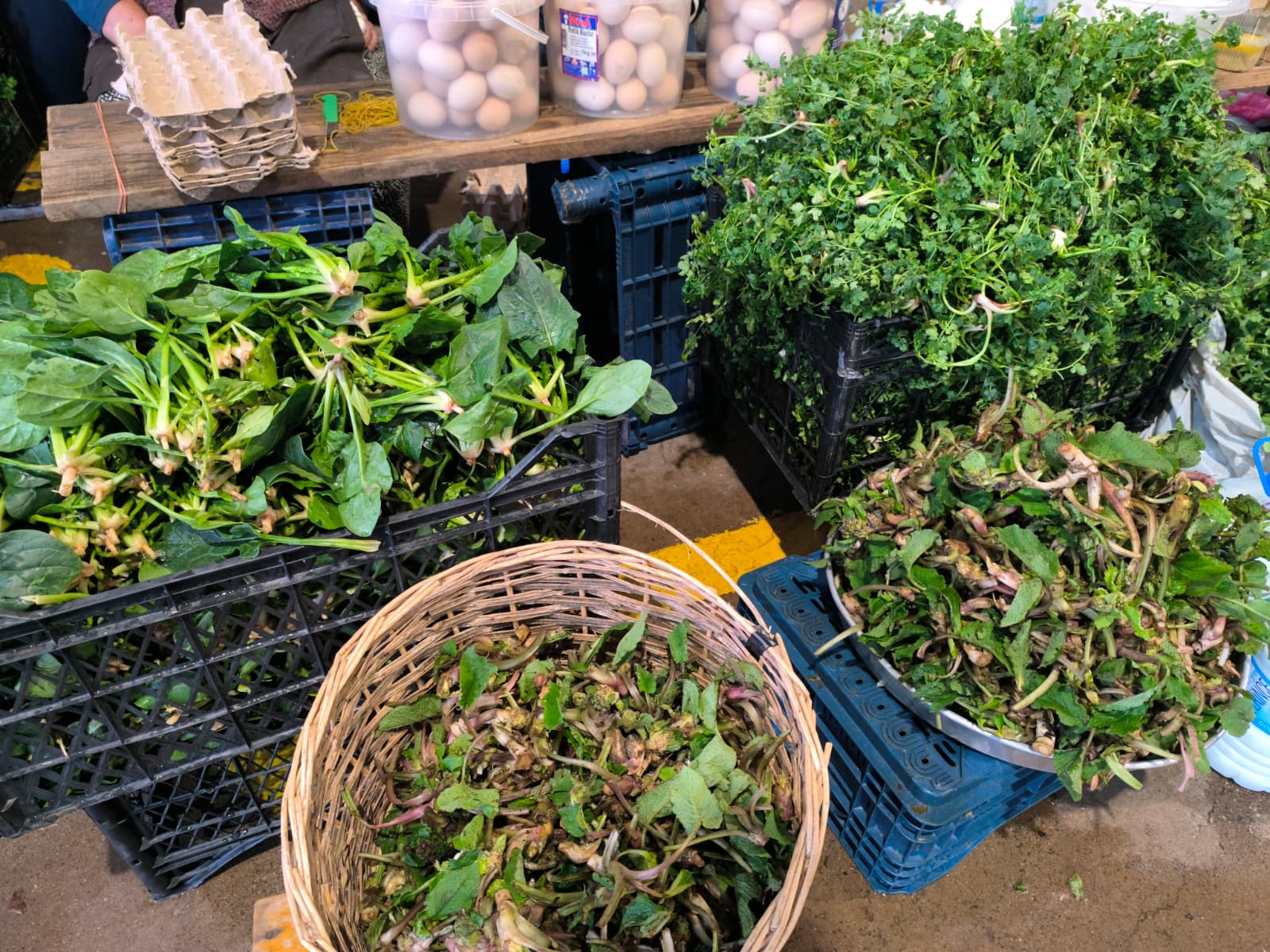 Whatsapp Image 2026 02 05 At 10.50.39