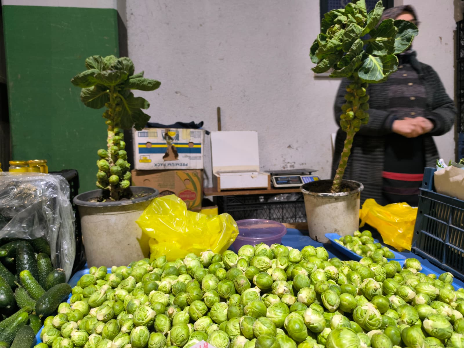 Whatsapp Image 2026 02 05 At 10.51.01