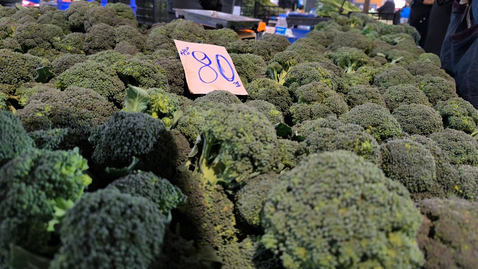 Whatsapp Image 2026 02 05 At 10.51.02 (1)