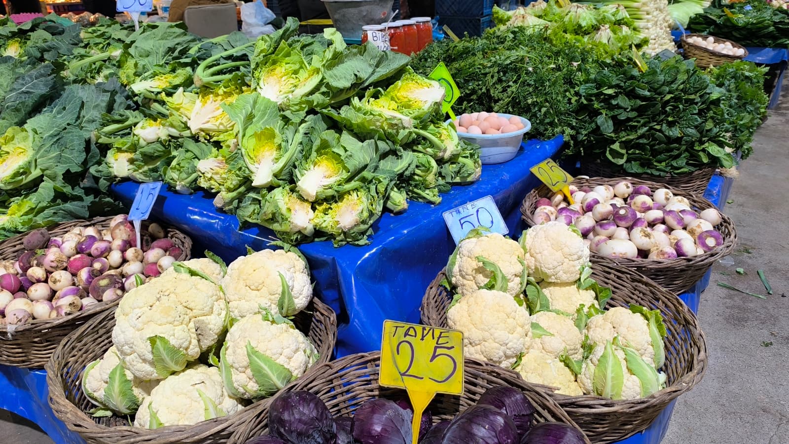 Whatsapp Image 2026 02 05 At 10.51.02 (2)