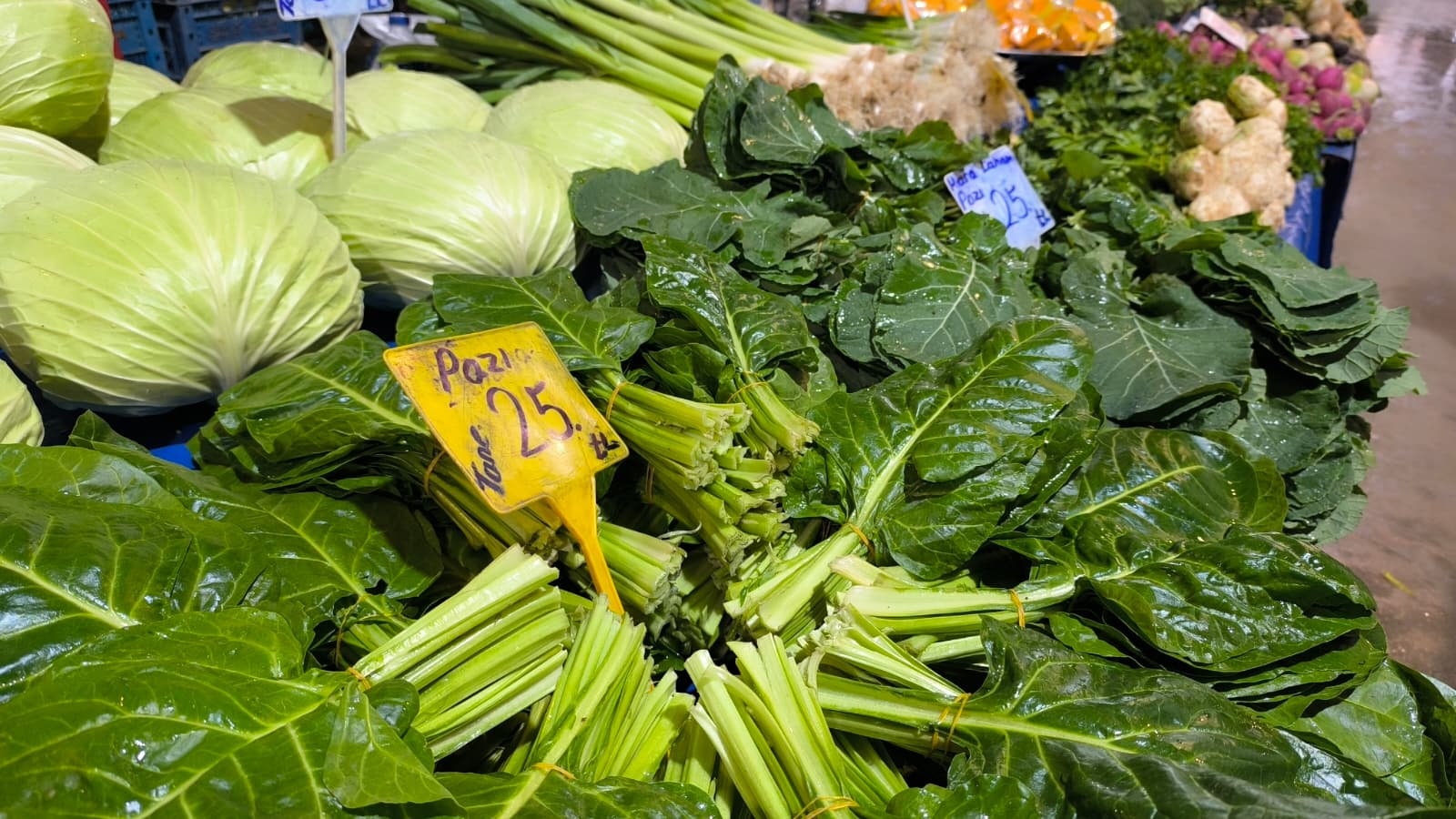 Whatsapp Image 2026 02 05 At 10.51.03 (1)