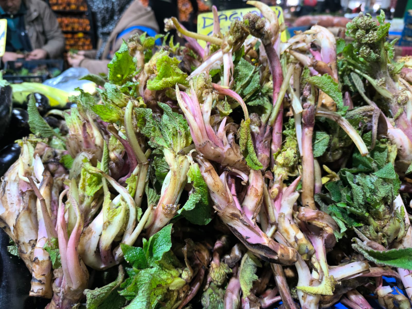 Whatsapp Image 2026 02 05 At 10.51.24