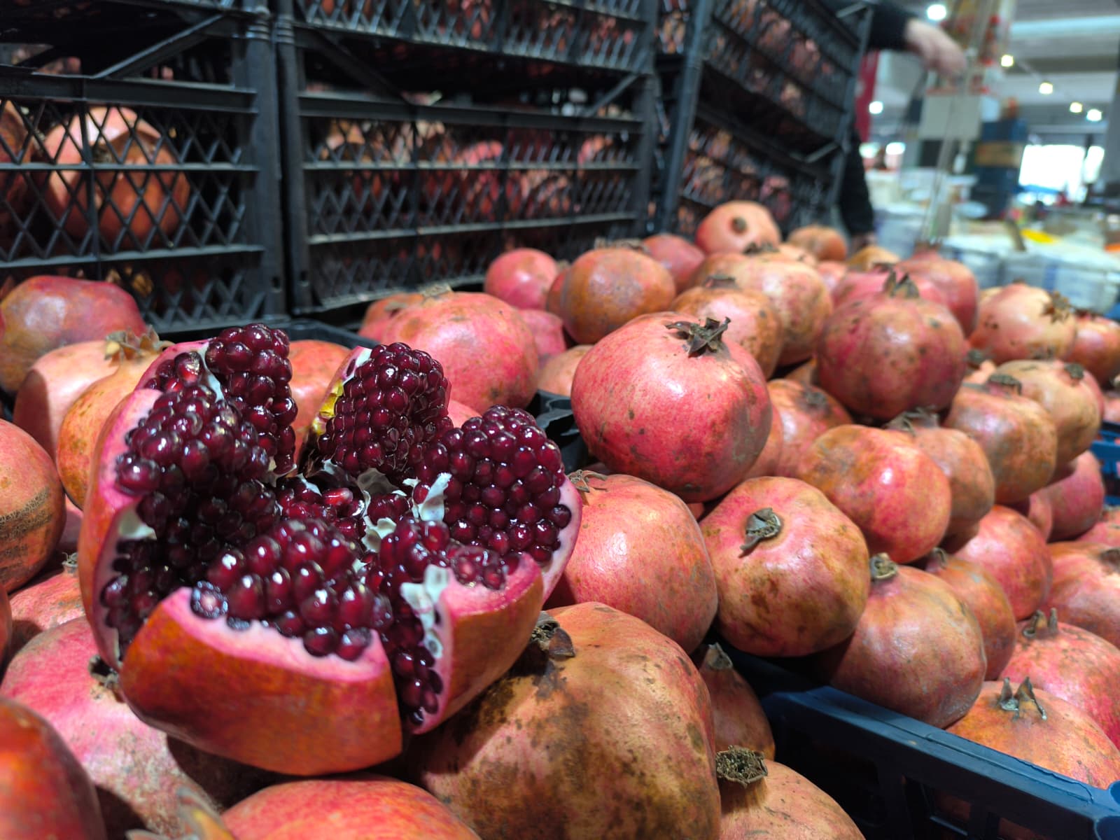 Whatsapp Image 2026 02 05 At 10.51.38 (2)