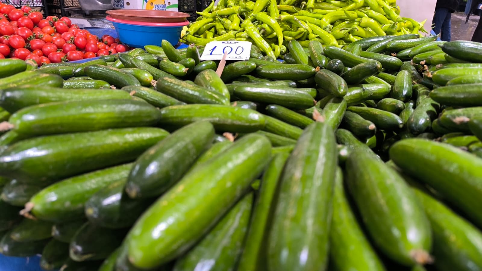 Whatsapp Image 2026 02 05 At 10.51.45 (1)