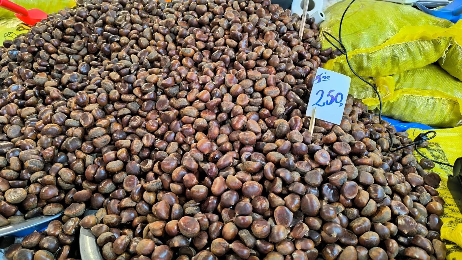 Whatsapp Image 2026 02 05 At 10.51.46