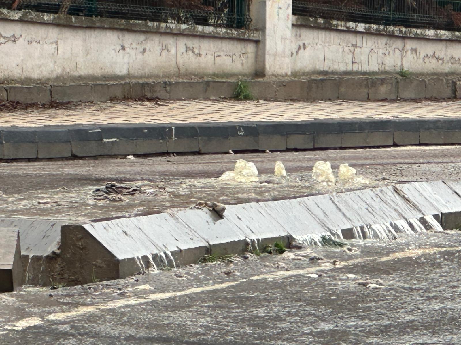 Whatsapp Image 2026 02 07 At 10.05.09 (1)