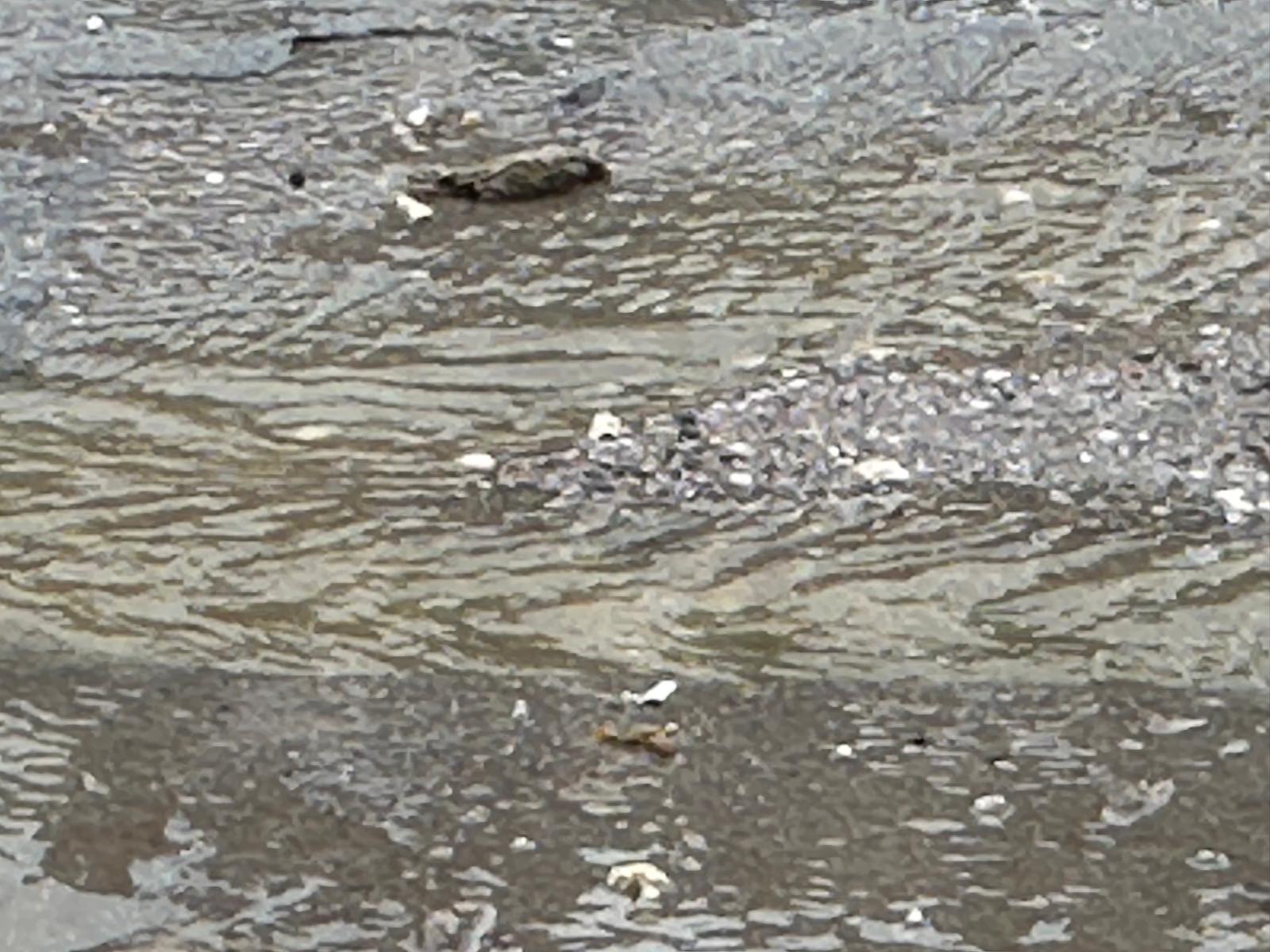 Whatsapp Image 2026 02 07 At 10.05.09 (4)-1