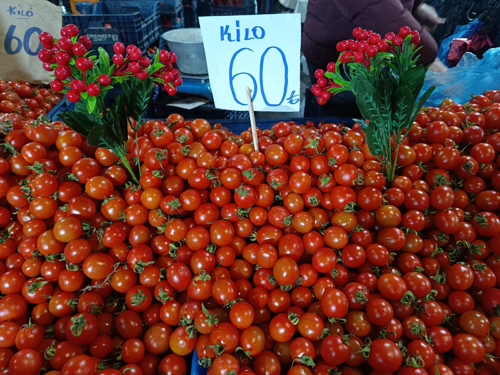 Whatsapp Image 2026 02 07 At 10.06.08