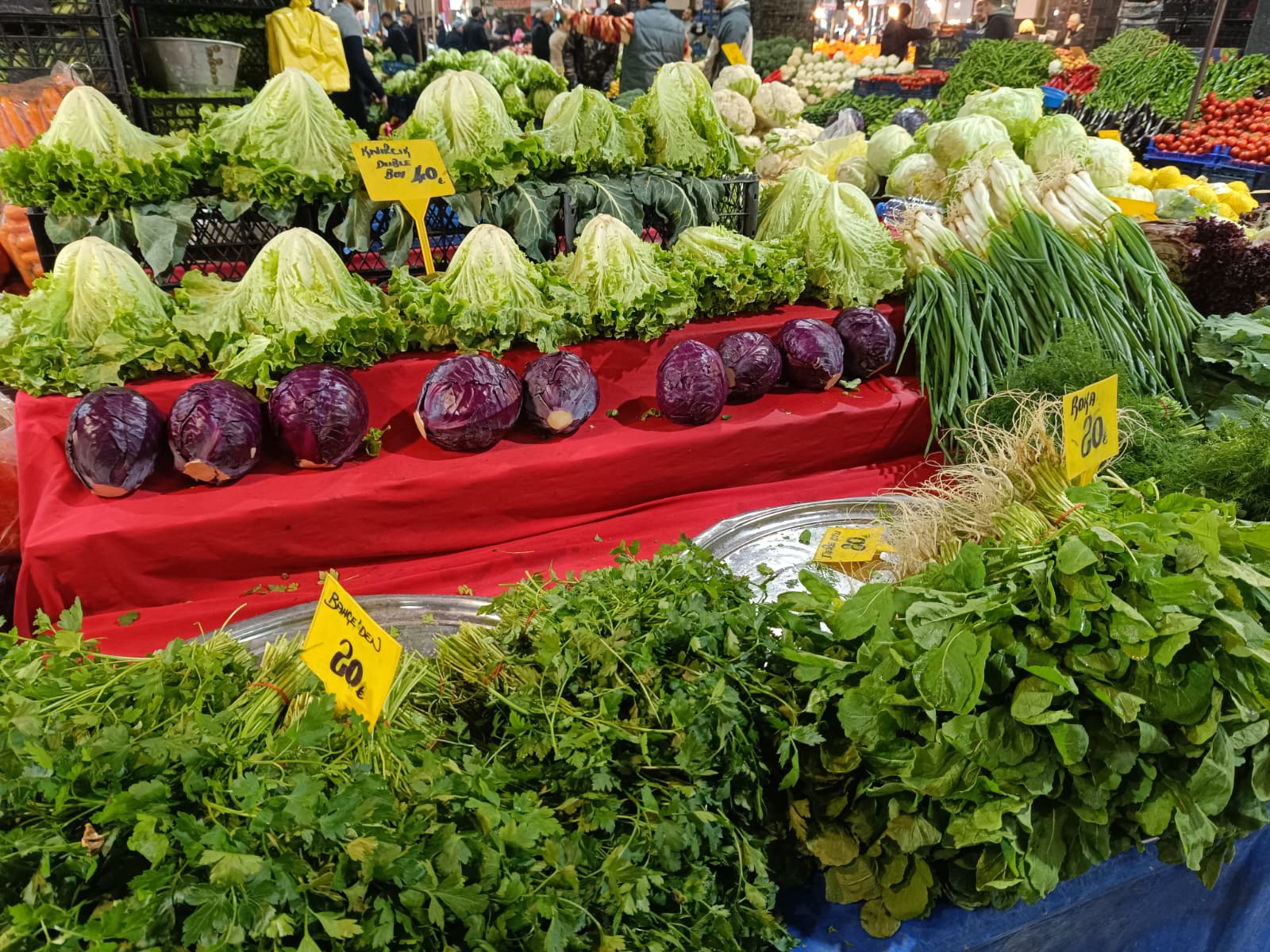 Whatsapp Image 2026 02 07 At 10.06.09