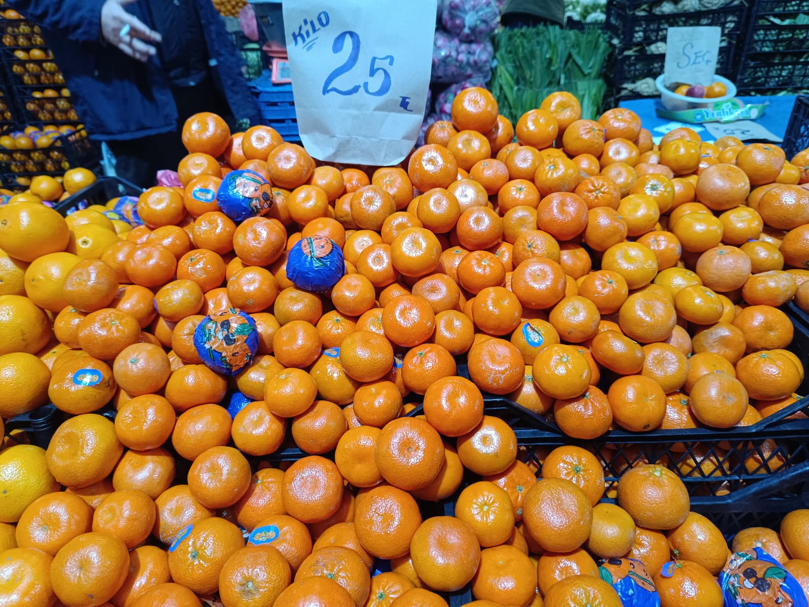 Whatsapp Image 2026 02 07 At 10.06.10 (2)