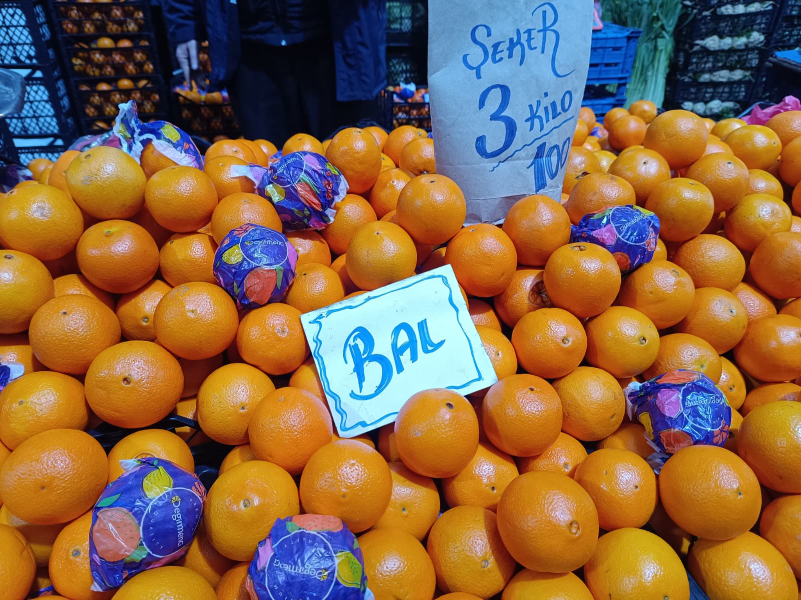 Whatsapp Image 2026 02 07 At 10.06.14