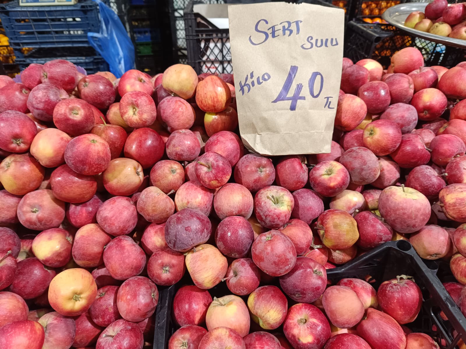 Whatsapp Image 2026 02 07 At 10.06.17