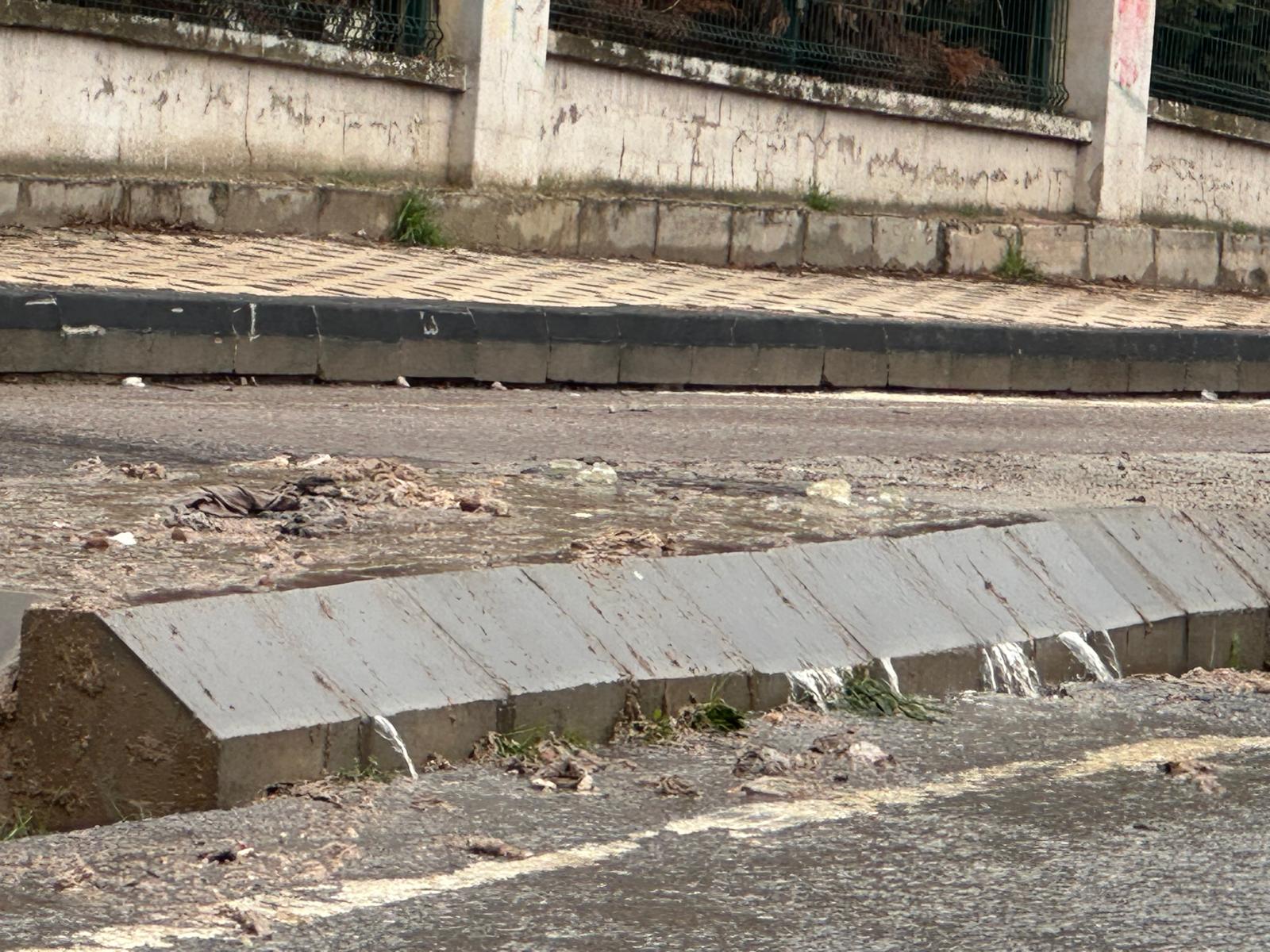 Whatsapp Image 2026 02 08 At 12.00.29