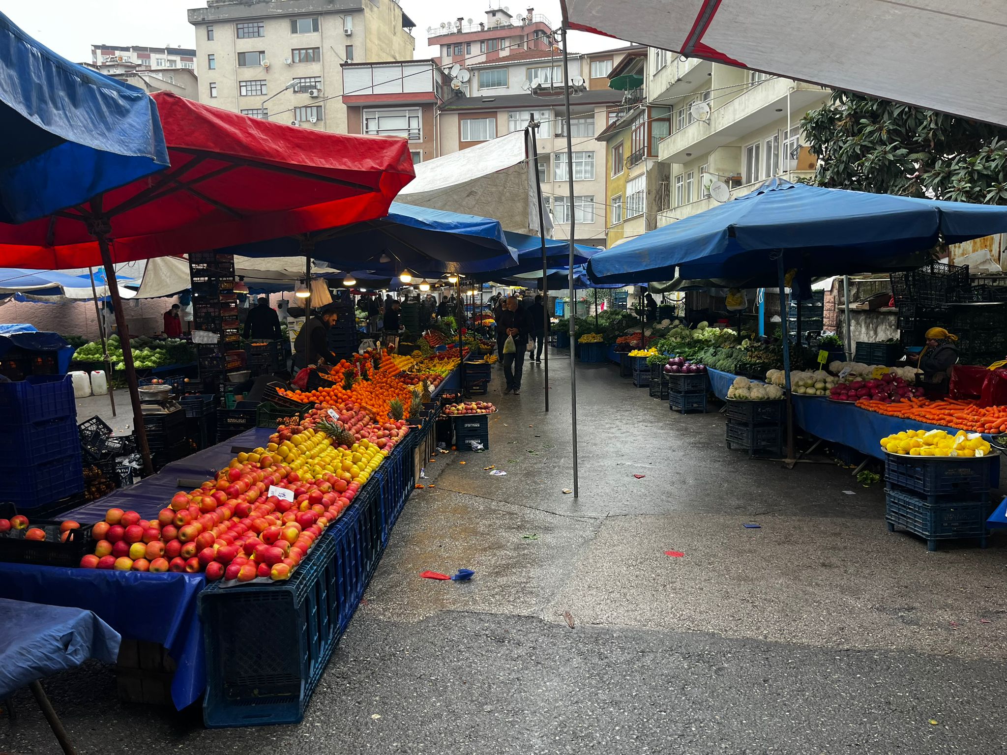 Whatsapp Image 2026 02 08 At 12.46.06 (2)