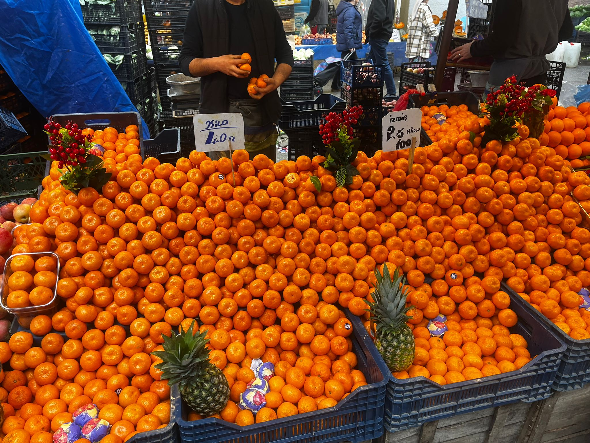 Whatsapp Image 2026 02 08 At 12.46.06 (3)