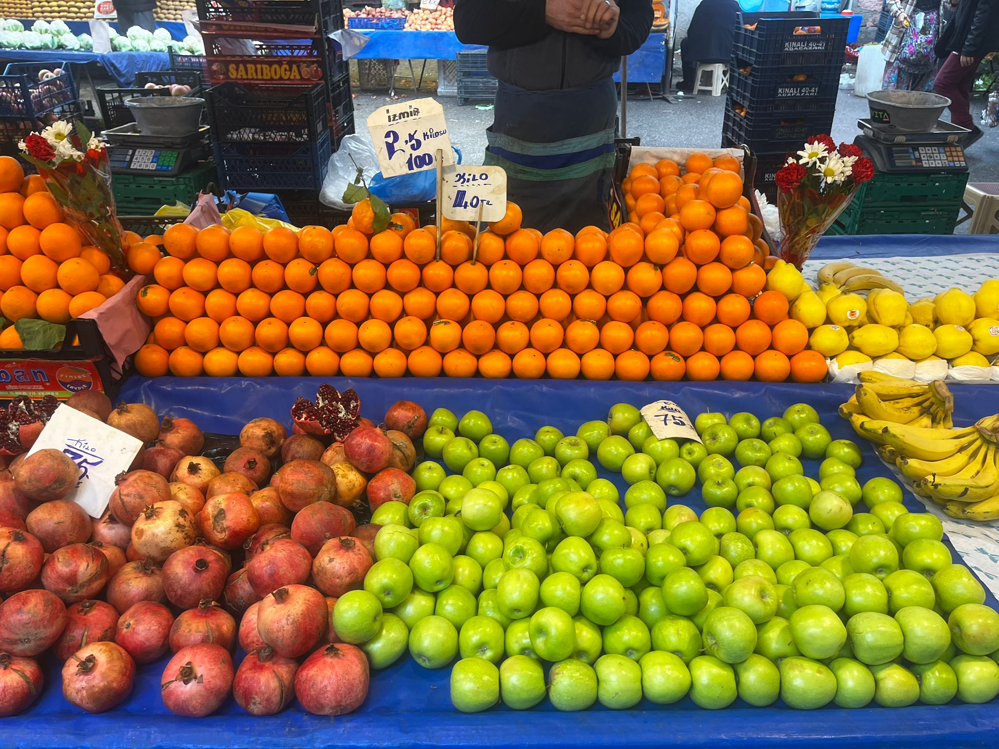 Whatsapp Image 2026 02 08 At 12.46.06