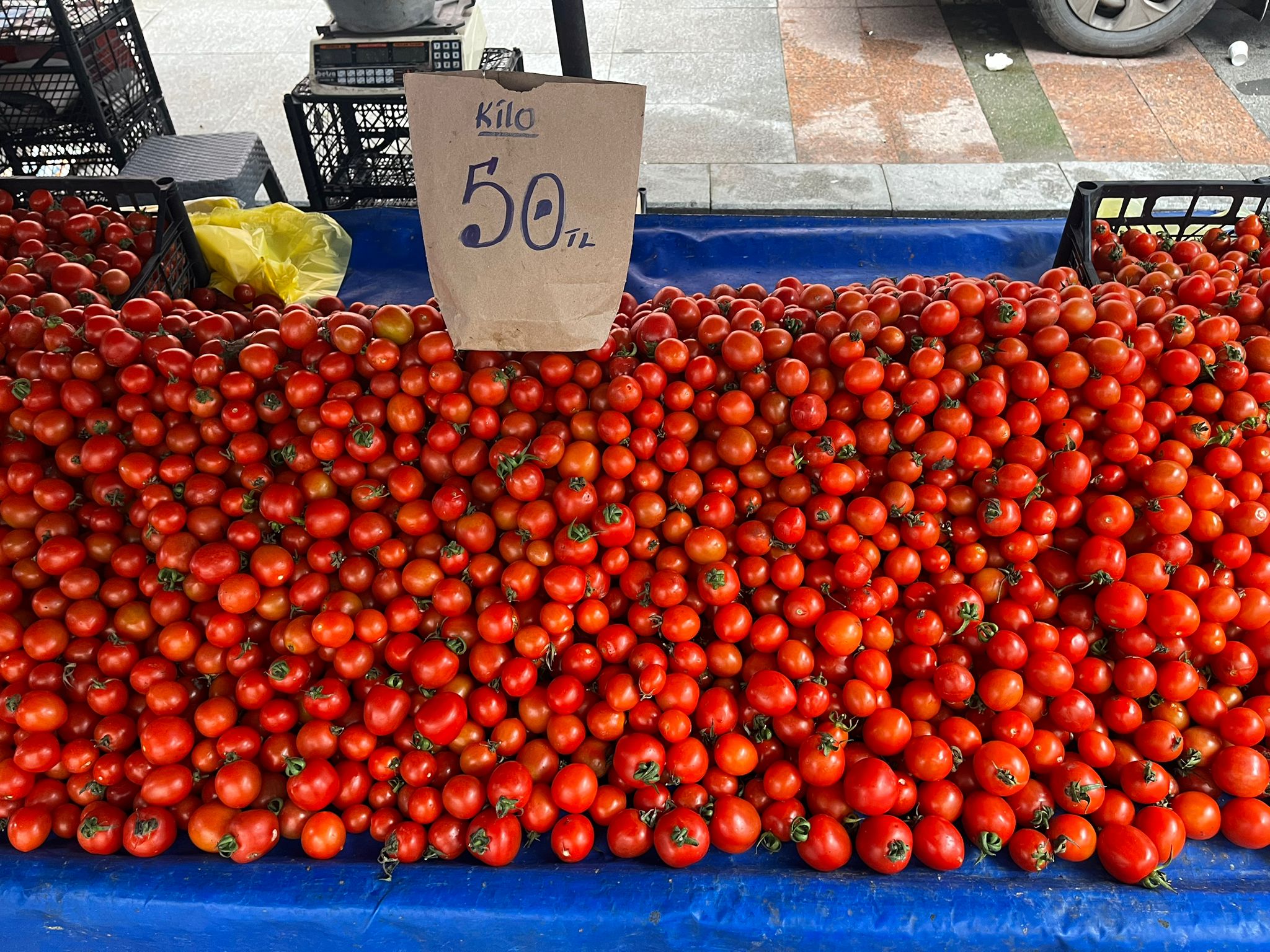 Whatsapp Image 2026 02 08 At 12.46.07 (1)