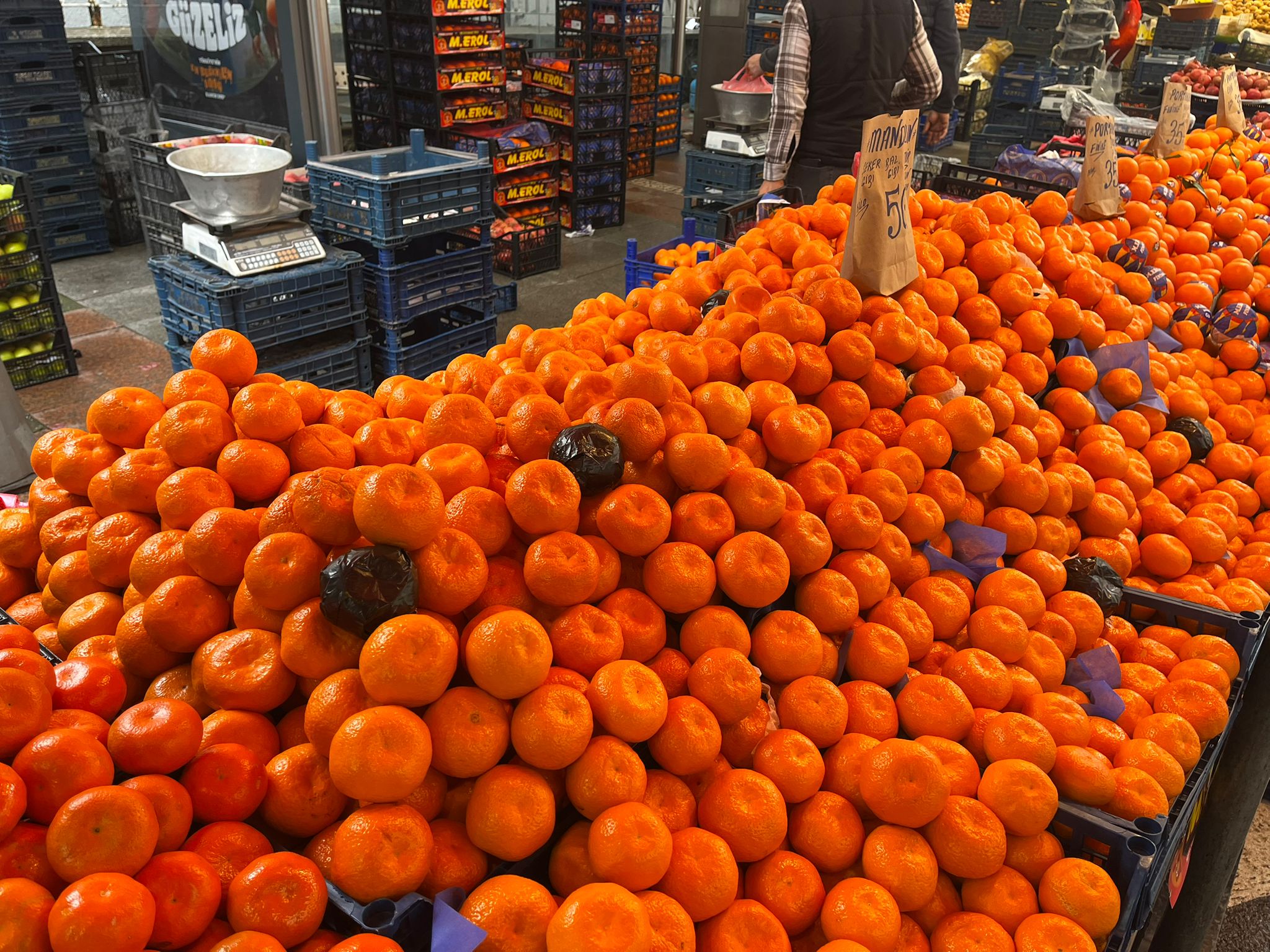 Whatsapp Image 2026 02 08 At 12.46.07