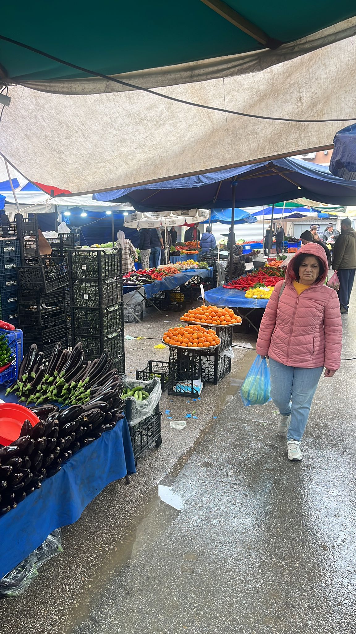 Whatsapp Image 2026 02 08 At 12.46.08 (2)