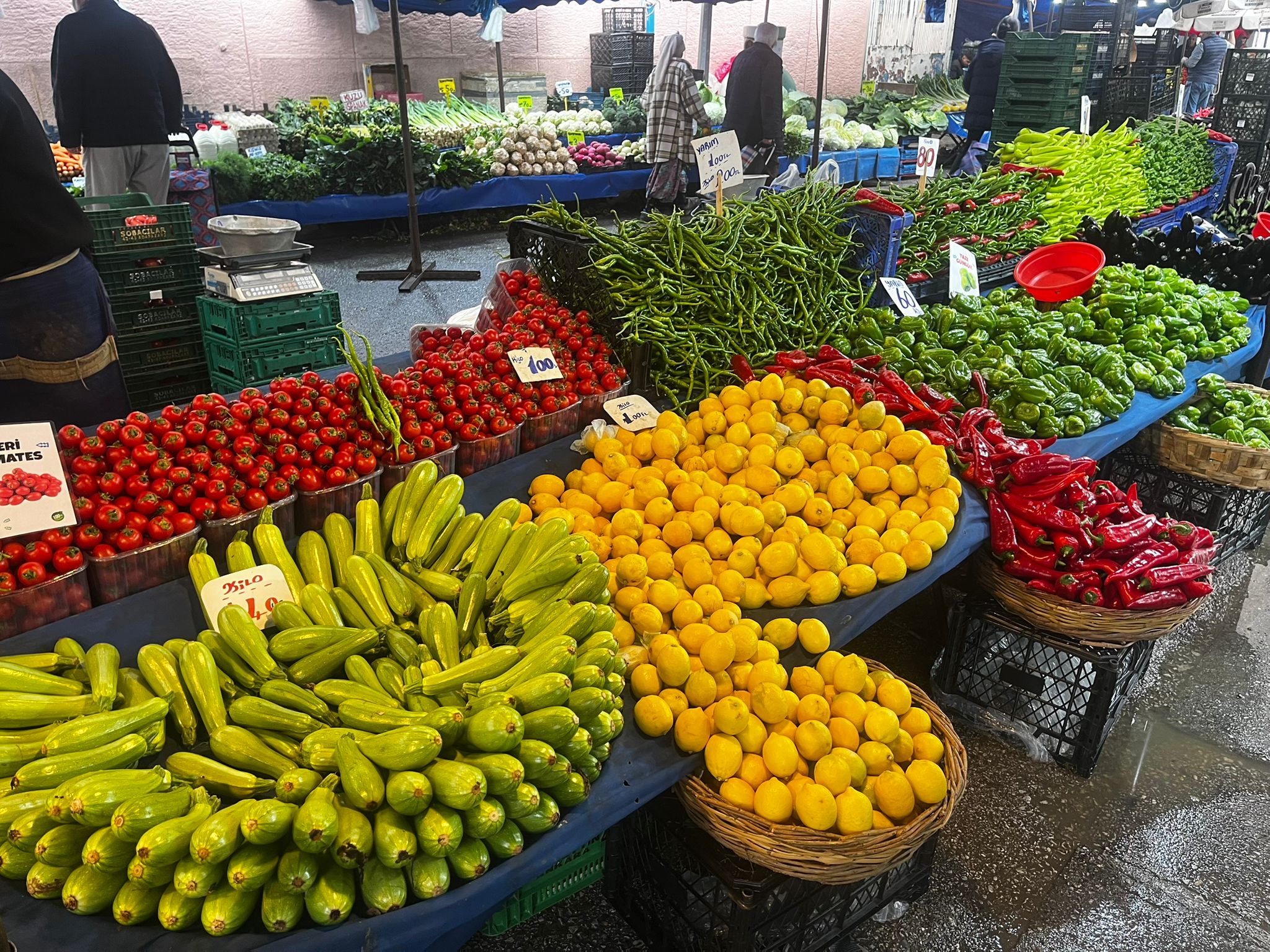 Whatsapp Image 2026 02 08 At 12.46.08 (3)