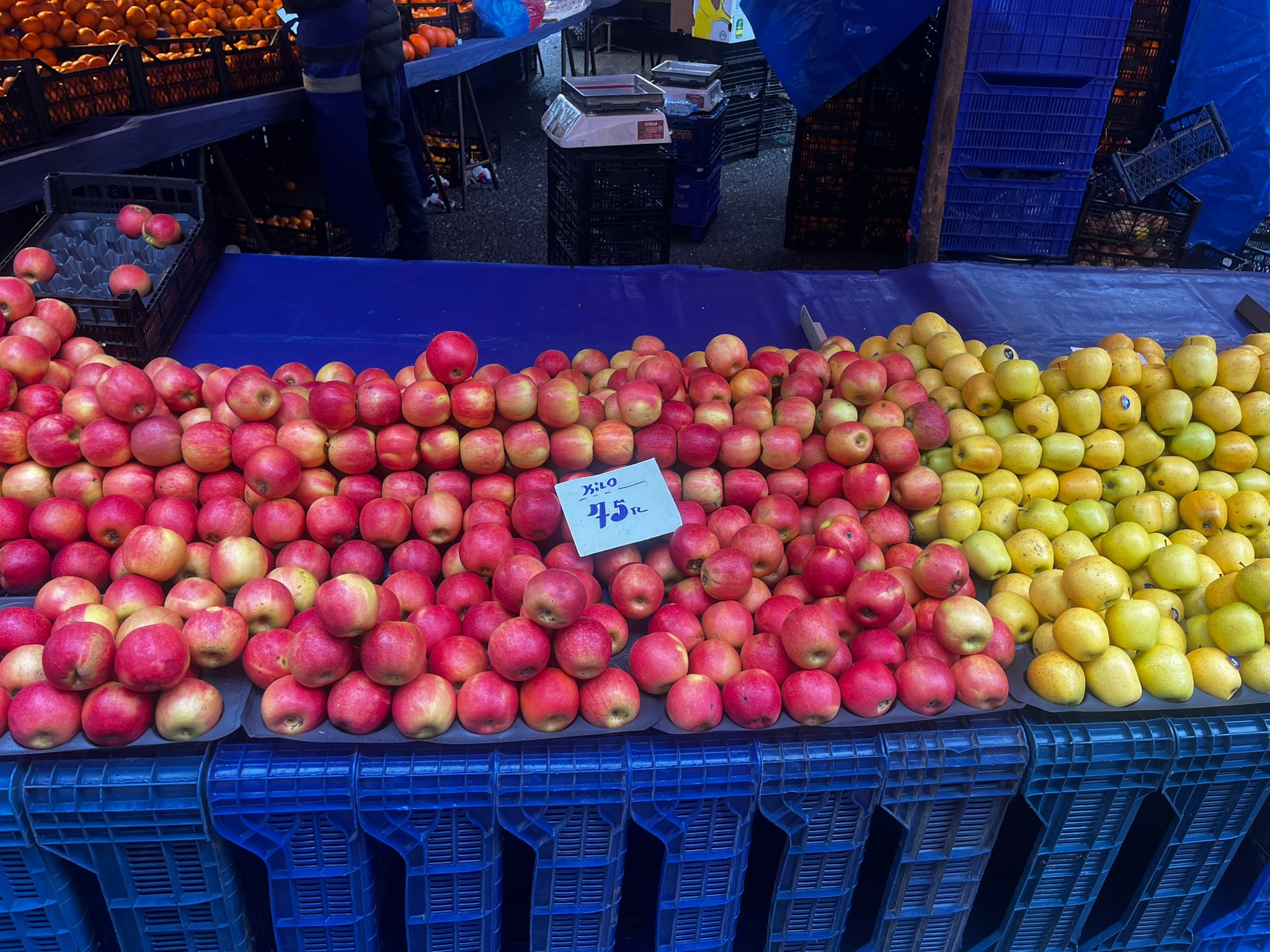 Whatsapp Image 2026 02 08 At 12.46.09 (1)