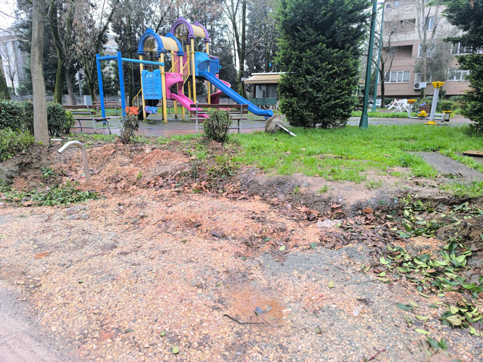 Whatsapp Image 2026 02 08 At 13.52.34