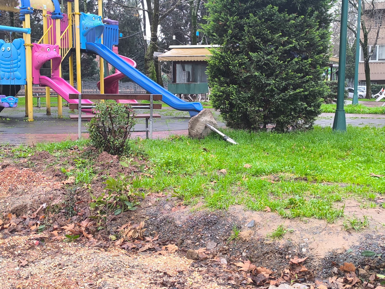 Whatsapp Image 2026 02 08 At 13.52.43 (1)