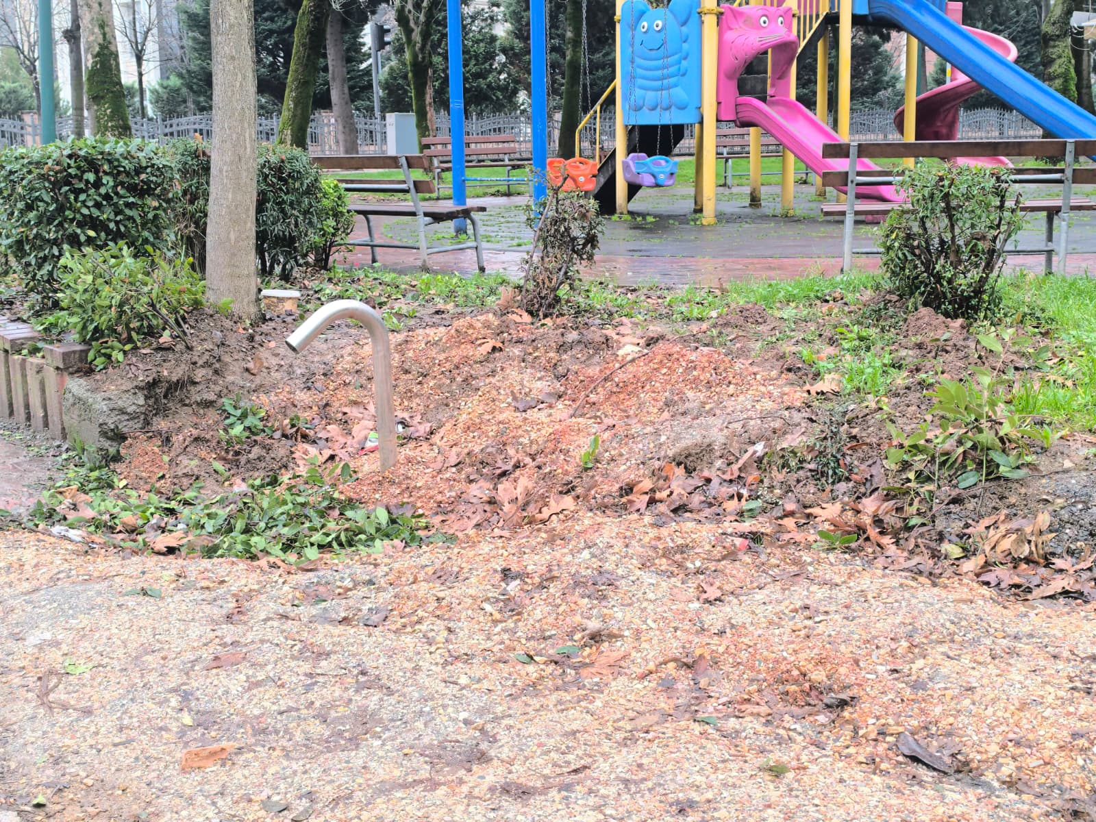 Whatsapp Image 2026 02 08 At 13.52.43