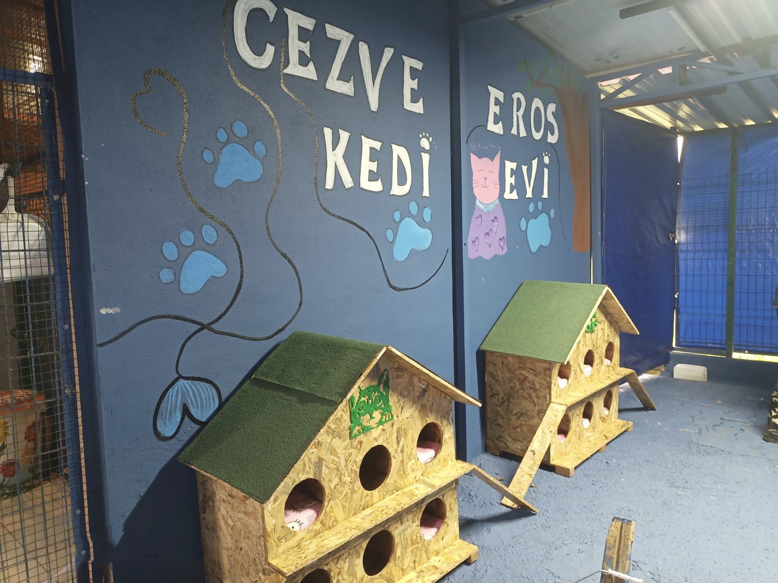 Whatsapp Image 2026 02 11 At 11.45.32