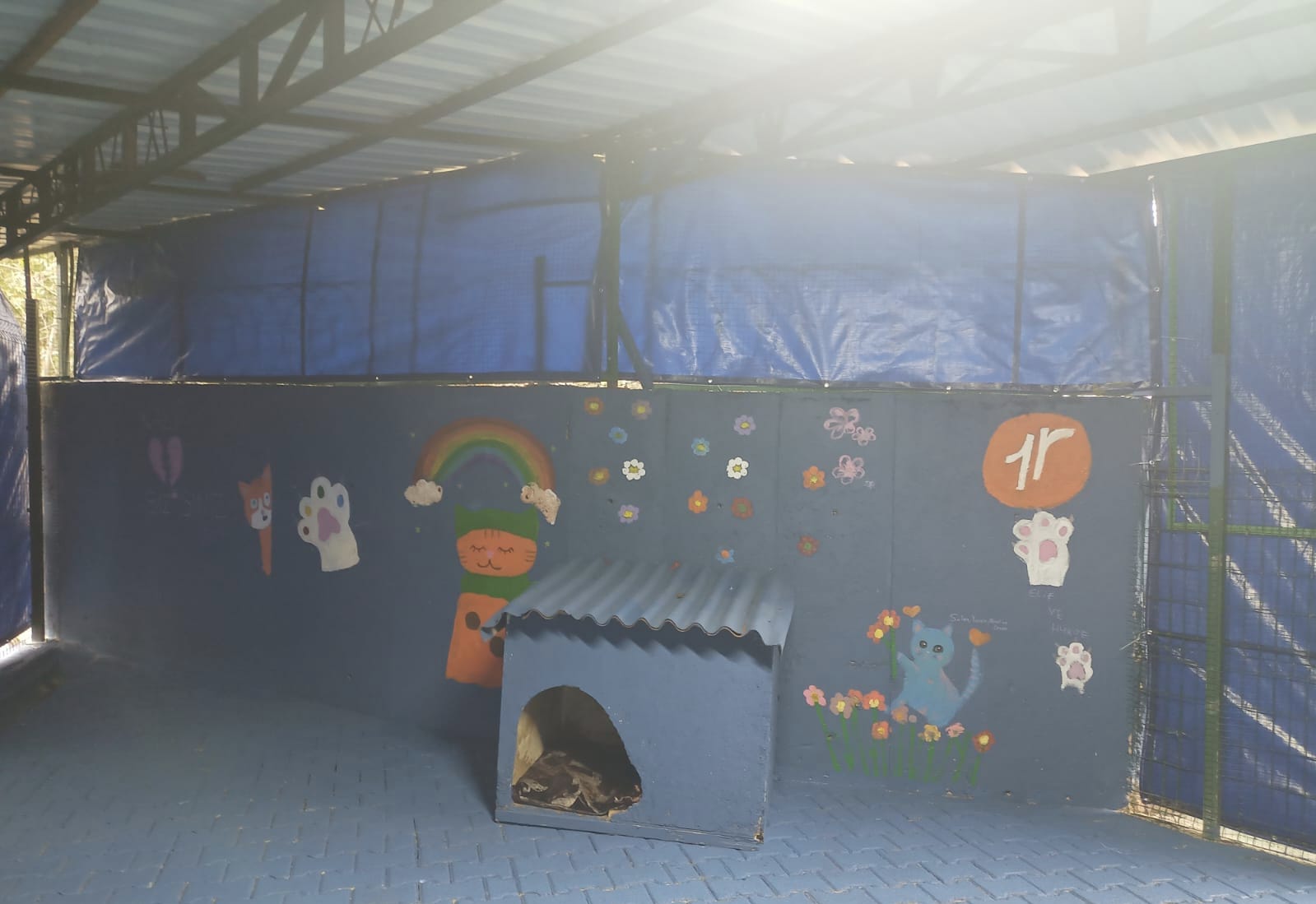 Whatsapp Image 2026 02 11 At 11.45.33