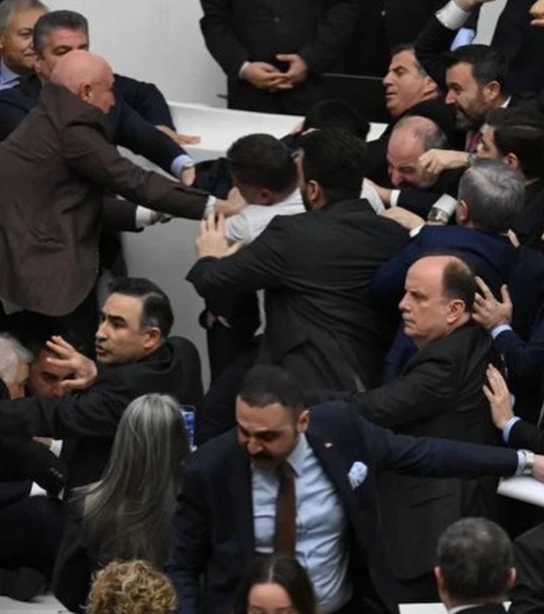 Whatsapp Image 2026 02 11 At 17.21.03