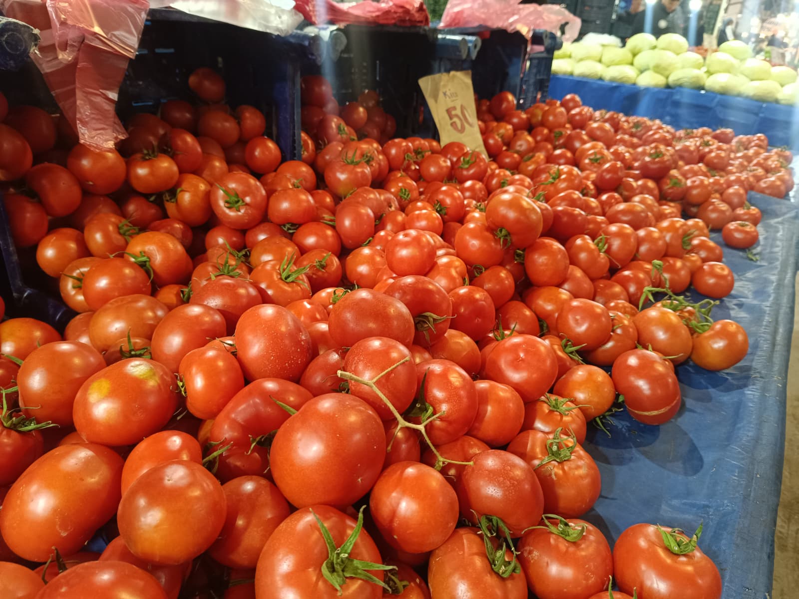 Whatsapp Image 2026 02 12 At 09.50.49 (2)