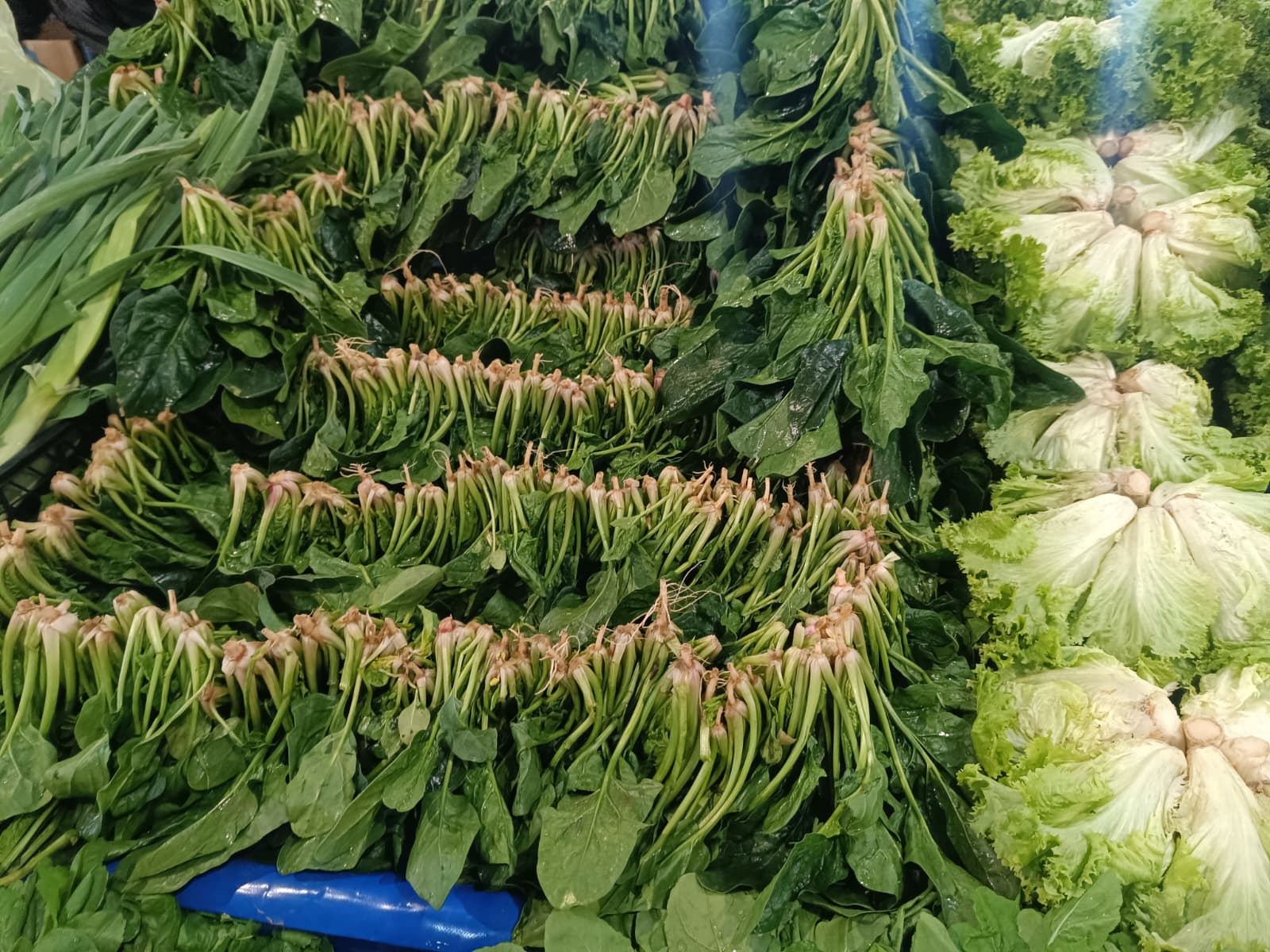 Whatsapp Image 2026 02 14 At 09.40.46