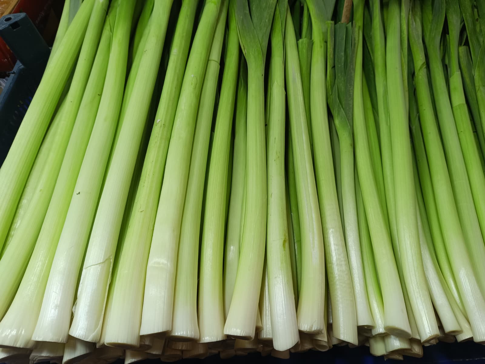 Whatsapp Image 2026 02 14 At 09.40.49