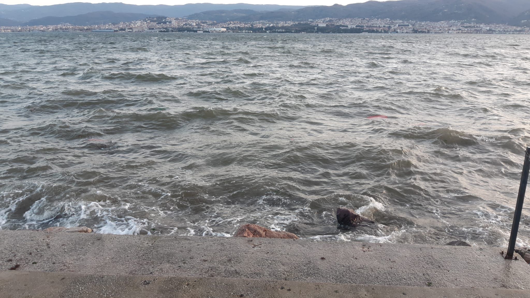 Whatsapp Image 2026 02 15 At 22.26.13 (2)