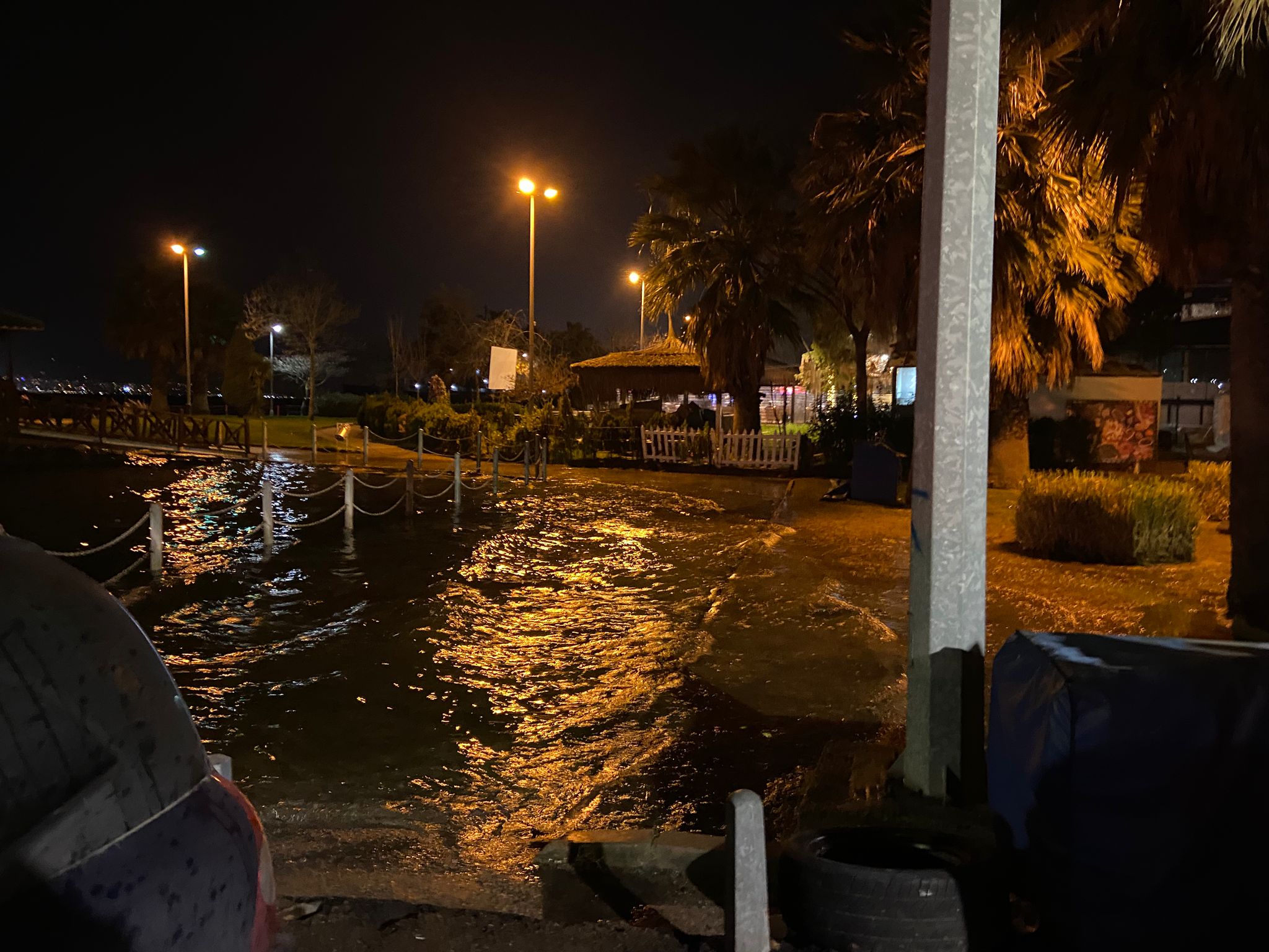 Whatsapp Image 2026 02 16 At 00.09.24 (1)