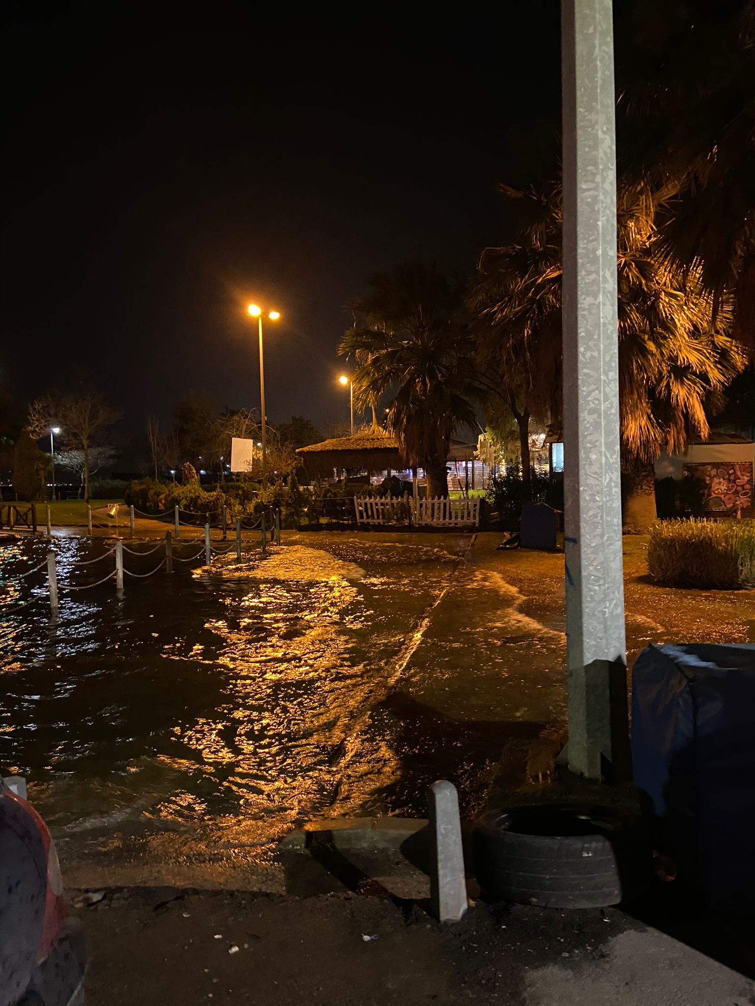 Whatsapp Image 2026 02 16 At 00.09.24