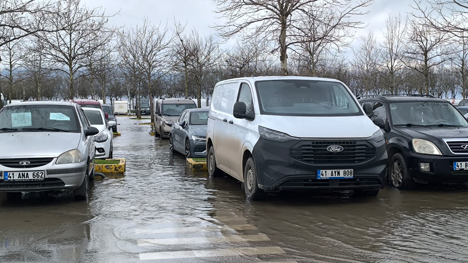 Whatsapp Image 2026 02 18 At 12.18.36-1