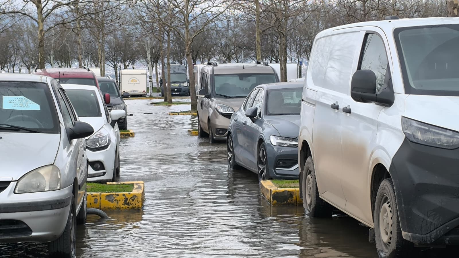 Whatsapp Image 2026 02 18 At 12.18.38-1