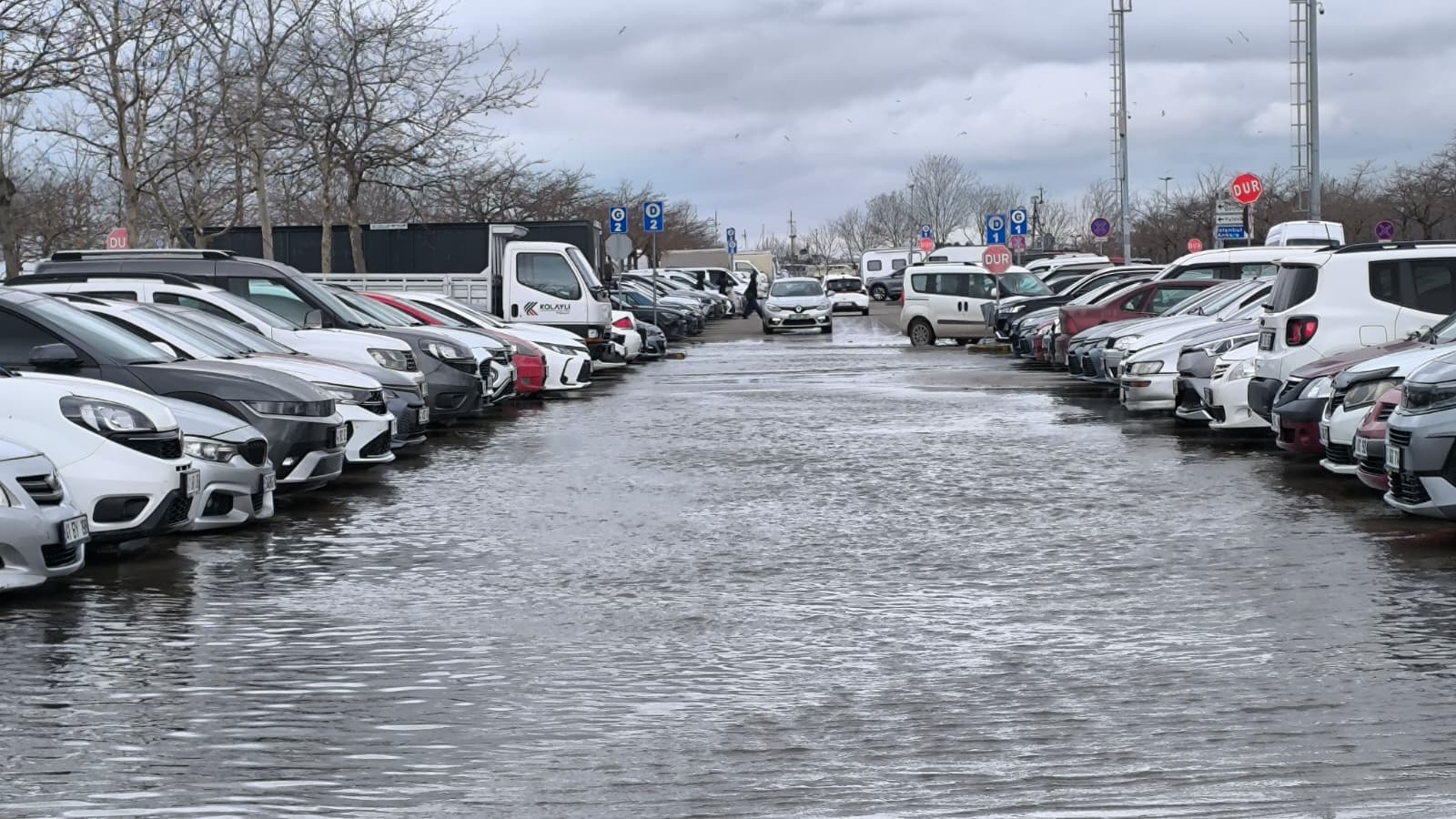 Whatsapp Image 2026 02 18 At 12.18.40-1