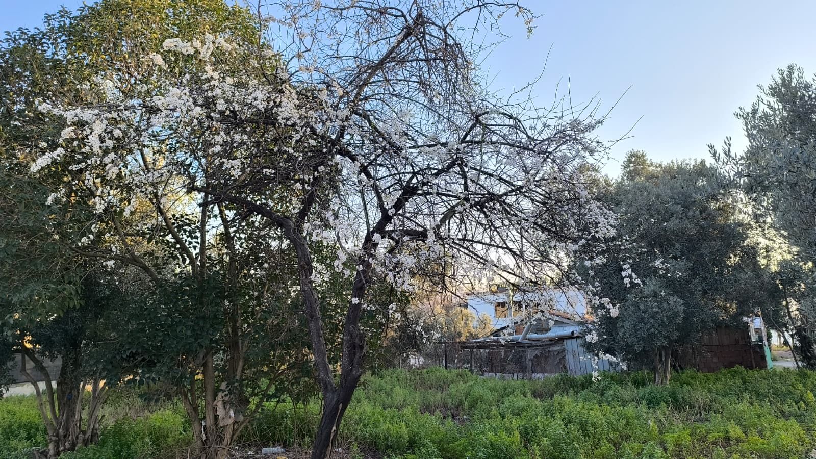 Whatsapp Image 2026 02 25 At 09.03.42