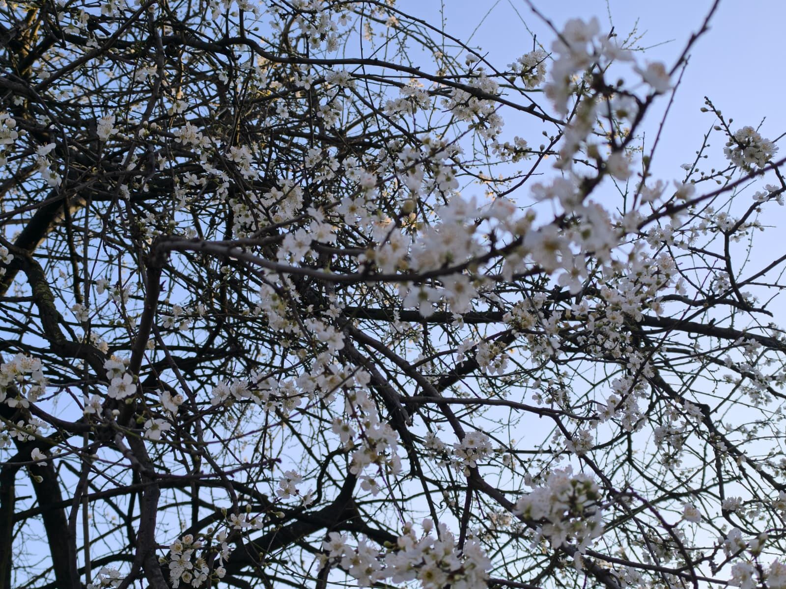 Whatsapp Image 2026 02 25 At 09.03.45