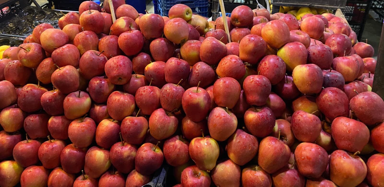 Whatsapp Image 2026 02 28 At 10.20.19