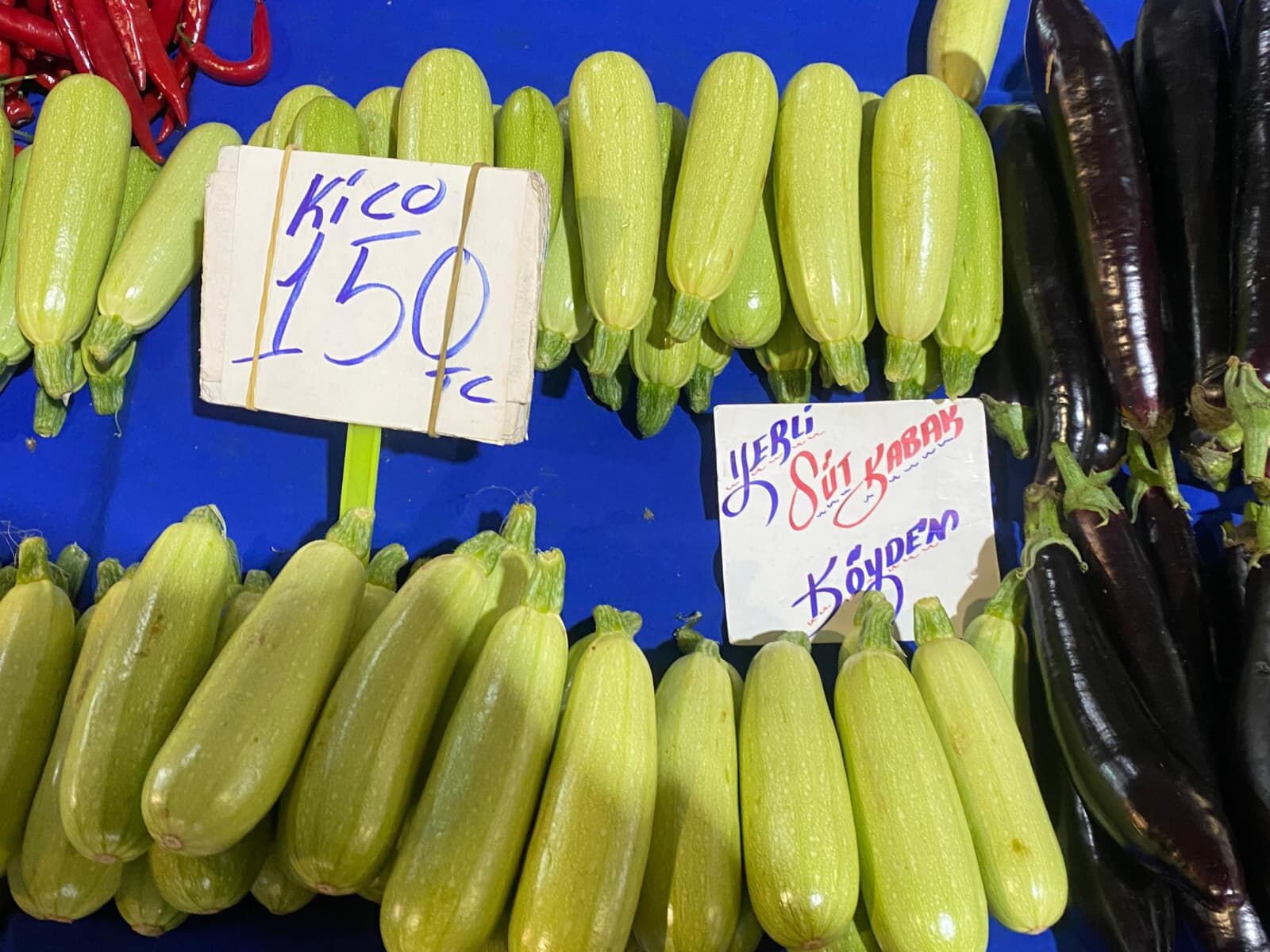 Whatsapp Image 2026 02 28 At 10.20.20 (1)