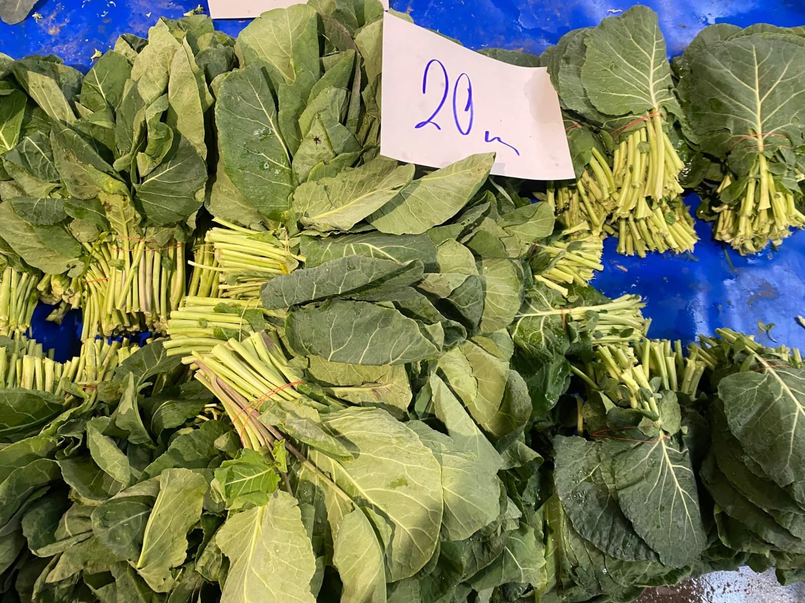 Whatsapp Image 2026 02 28 At 10.20.27