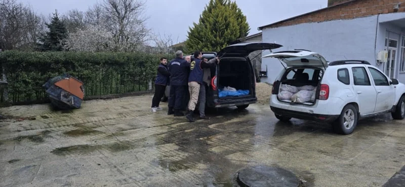 69Cac17D06591193 W1200Xh554