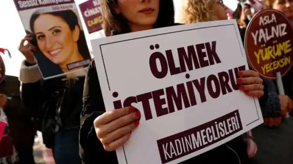 87C12572 Fc33 406D A966 Cce038E5D0Cb.jpg