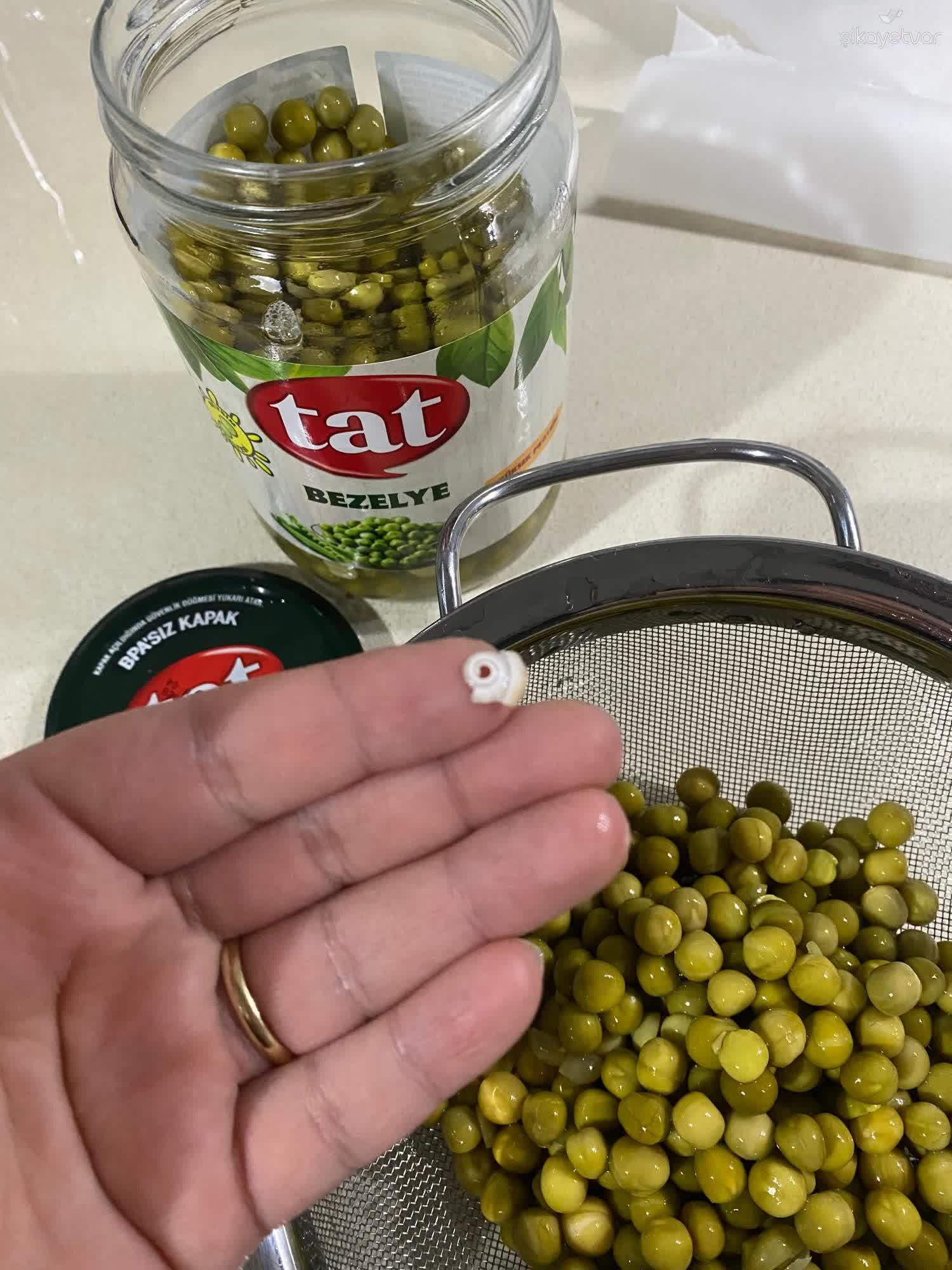 Bezelye Kavanozunda Salyangoz Kabugu Tespit Edildi 1