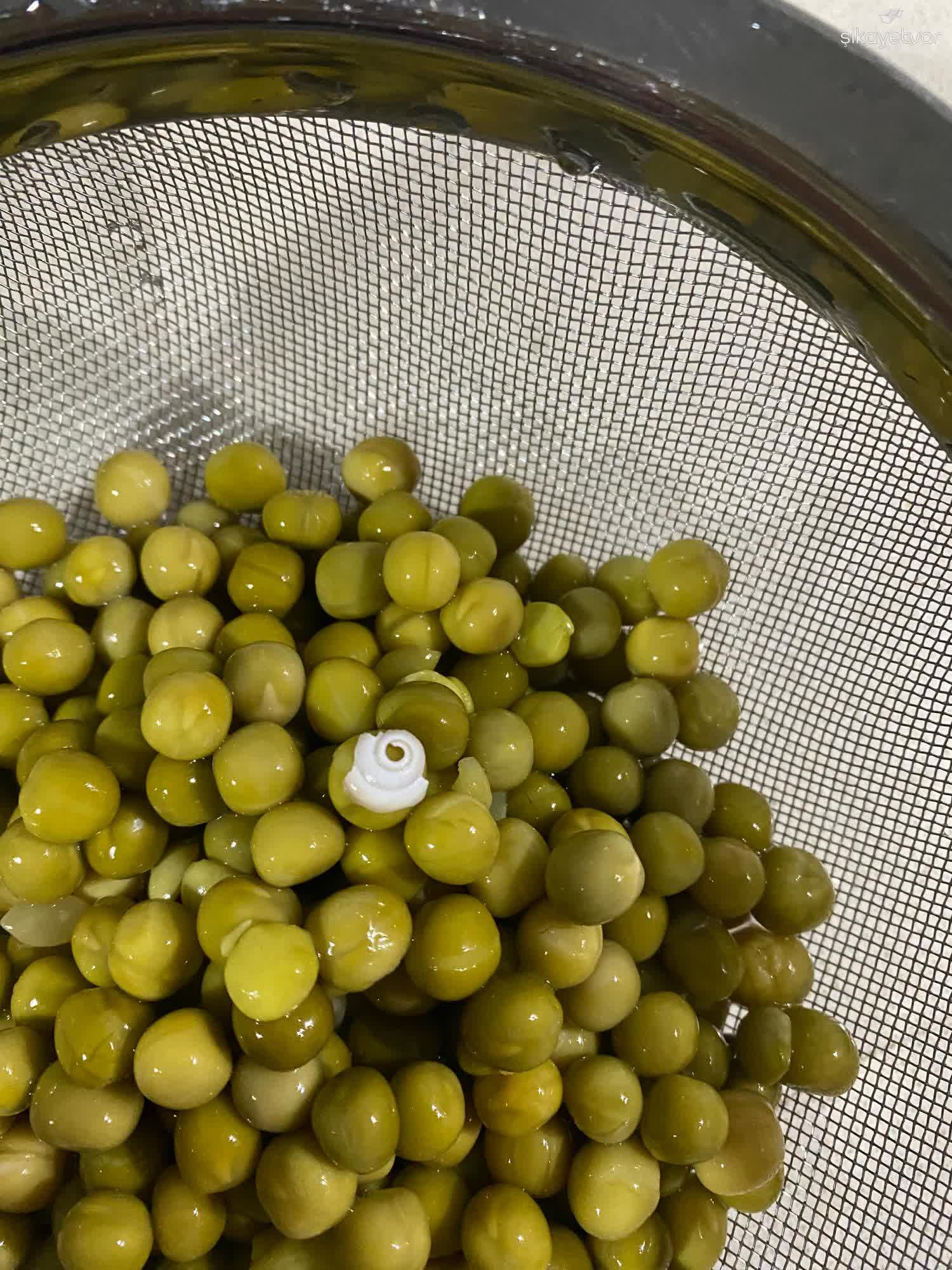 Bezelye Kavanozunda Salyangoz Kabugu Tespit Edildi 3